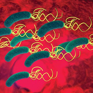Testing for H. pylori: Which Patients, Which Test, How to Treat?